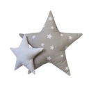 SET  2 COJINES FORMA STAR