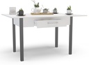 MESA COCINA SENDAI DOBLE